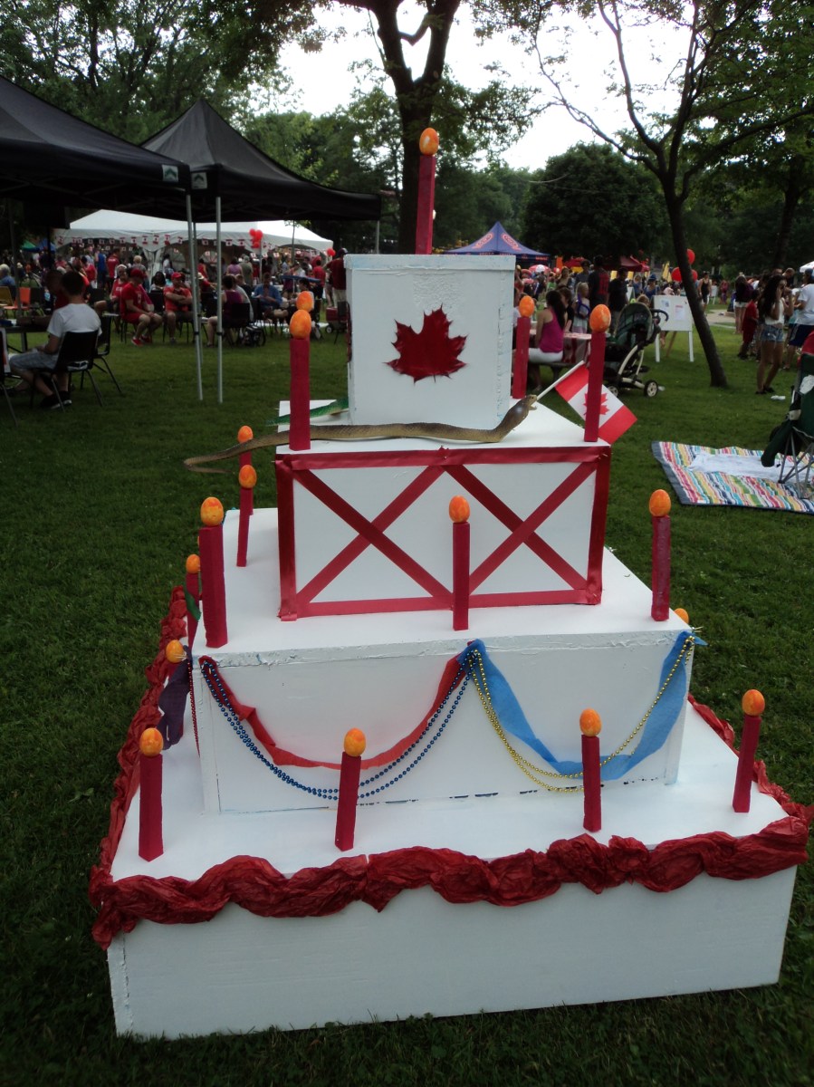 Canada Day Cake 2014