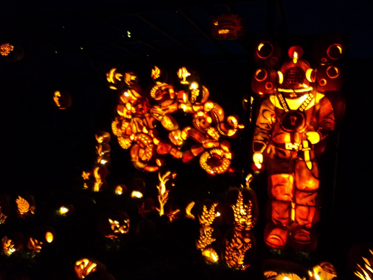 Under the Sea at night