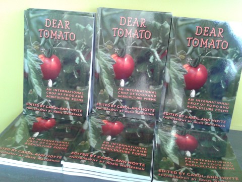 Dear Tomato